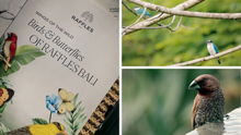 Birds and Butterflies Watching Experience at Raffles Bali