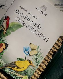 Birds & Butterflies Book 