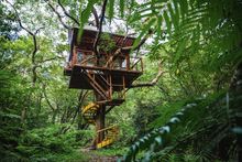 Treeful Treehouse
