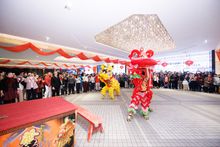 Lion Dance Performance