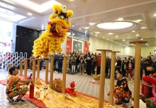 Traditional Lion Dance Performance