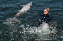 A dolphin imitates U.S. army veteran Sarah Harrison swimming on her back at Dolphin Research Center Sunday, Jan. 11, 2026, in Marathon, Fla. Harrison was among more than 40 wounded military personnel who participated in Soldier Ride, a South Florida mainl