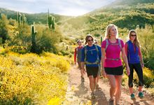 Hiking in the Sonoran Desert