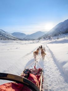 Dogsledding in the Yukon 