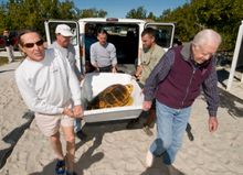 President Jimmy Carter, First Lady Rosalynn and family members forged a warm bond with the Florida Keys and its residents. During a December 2010 visit, they toured the Turtle Hospital in Marathon, after which President Carter, front right, took part in t