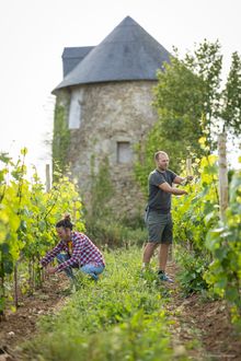 Seit 2020 bauen Marie Devigne und Guillaume Hagnier Reben auf der Halbinsel Rhuys an, die den Golf von Morbihan vom Atlantik trennt.