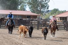 Six Arizona hotels recognized in Condé Nast Traveler's 10 Best Resorts in the Southwest 