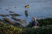 Blick von der Pointe des Crolles auf die Austernparks in Cancale, wo bei Springtiden emsiges Treiben herrscht.