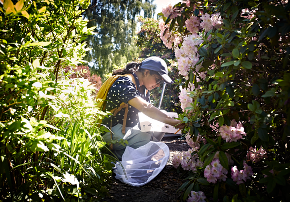 Oslo Urban Nature experiences with La Humla Suse