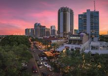 Beach Drive Birchwood Canopy
