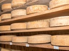Asiago Cheese, Gastronomic Veneto