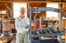 Farm and distillation tour at Capay Valley Lavender