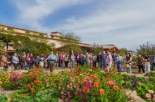 Pollinator tour at The HIVE 