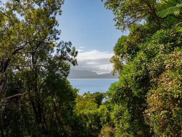 Ever Bloomfield - View from a suite through the rainforest looking out at the Great Barrier Reef.