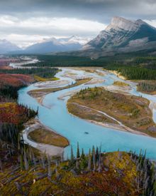 Naturlandschaft rund um Nordegg