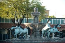 The Bob Parks Horse Fountain decked out for the holidays in Old Town Scottsdale. 