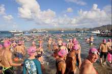 Nevis to St. Kitts Cross Channel Swim