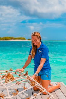 Adopt a Coral at Sheraton Maldives Full Moon Resort & Spa