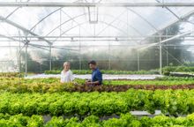 The Greenhouse Tour at Le Méridien Maldives Resort & Spa