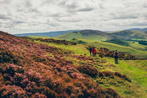 Moel Fenlli, Offa's Dyke Path, Nordwales