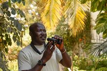 Malick Suso - Birding Guide