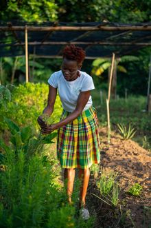 Helena, a farmer from Babonneau