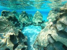 JW Marriott Maldives Kaafu Atoll Island Resort_ INVENA underwater