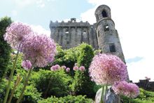 Blarney Castle