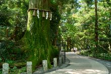 Mt Takao