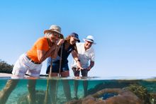 Lady Elliot Island Eco Resort
