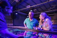 Monsoon Aquatics Coral Farm Tours