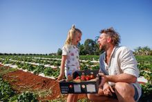 Tinaberries Strawberry Farm
