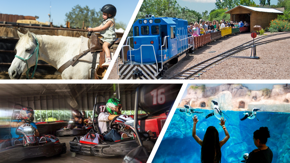 Von Wüstenausritten bis zu Wasserspaß:  Die besten Erlebnisse für Familien in Scottsdale