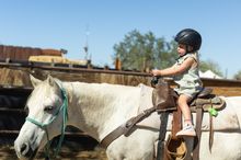 The MacDonald's Ranch Pumpkin Patch is a Scottsdale fall tradition offering horseback and train rides, gold panning, and, of course, plenty of pumpkins. 