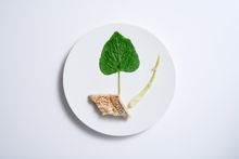 Amadai - Fukuoka / Line Caught / Wasabi