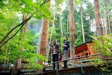 [HOSHINOYA Fuji] Solo Wellness Trip