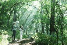 [HOSHINOYA Karuizawa] Wild Bird Forest Nature Watching