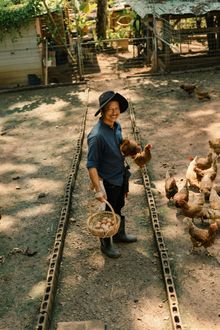 Chicken Feeding