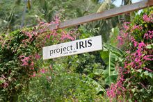 Iris Farm