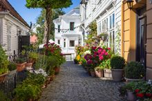 Bergen summer