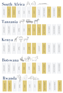 Ker & Downey® Africa- Intelligent report - Best Activities and Best time to travel