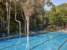 Crystalbrook Byron, Byron Bay - Pool and rainforest