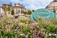 Epernay, the Capital of the Champagne region
