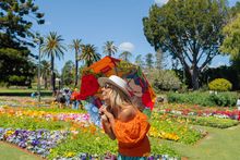 Toowoomba Carnival of Flowers