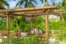 JW Marriott Maldives Kaafu Atoll Island Resort_ JW Garden