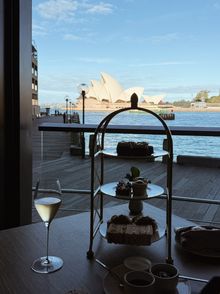 Tim Tam Afternoon Tea by Sydney Harbour