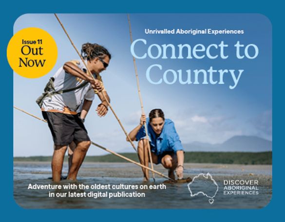 Connect to Country Issue 11