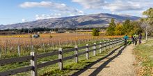 Kawarau Gorge Trail - Felton Road Bannockburn