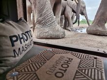 Matebole hide new entrance