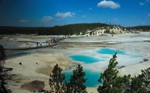 Mammoth Hot Springs in Yellowstone National Park
